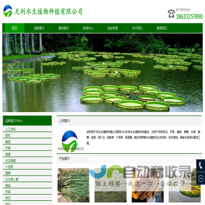 水生植物_沉水植物_人工浮岛-_浮动湿地-天利水生植物