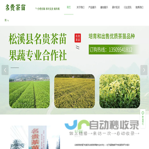松溪县名贵茶苗果蔬专业合作社